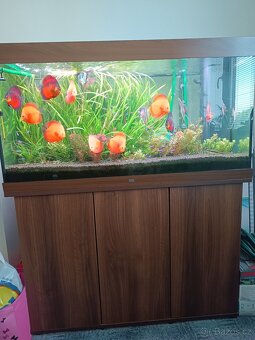 Juwel Rio 350 - 2