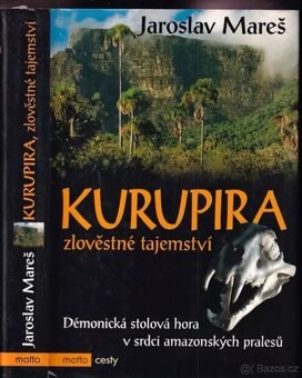 Ve stínu baobabu - 2