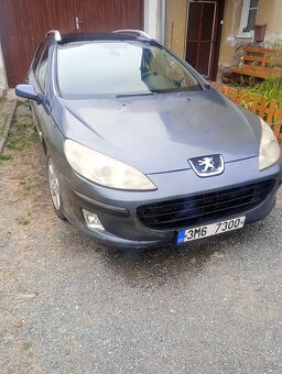 Peugeot 407sw - 2