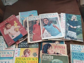 Praktycká žena - 2