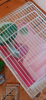 Klec pro myšku + 3×hračka + plast.přepravka + pítko kuličkou - 2