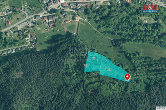 Prodej louky, 13.819 m², Rejštejn - 2