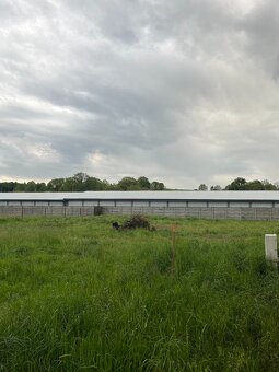 Prodej stavebního pozemku 1285 m² Bílovec - 2
