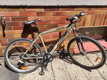 Kolo Author Solution 26" - 2