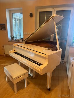 Petrof model V 150cm bílá perleť - 2