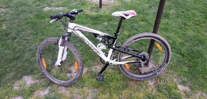 Scott Spark jr - 2