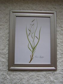 obrázek - 2