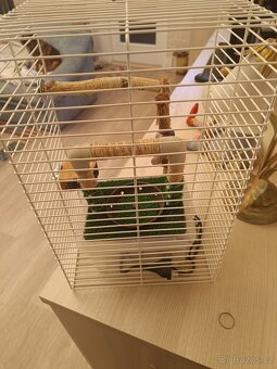 Nová sprcha na klec - 2