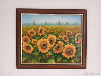 Obraz - Slunečnice - 2