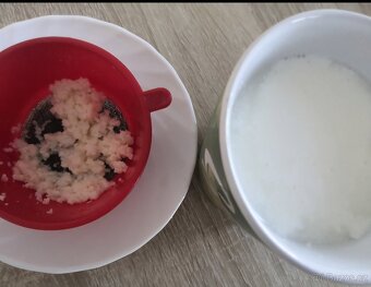 Kefirova houba, Tibetska houba. - 2