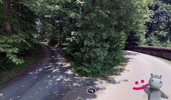 Prodej lesa 2 191 m², Zašová, ev.č. 58883 - 2