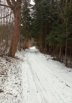Soubor 6 pozemků o 4 799 m2 , obec Sušice, okr. Klatovy - 2