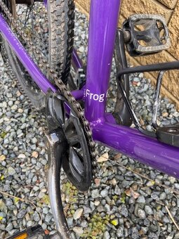 Kolo Frog 62 (velikost kola 24´) - 2