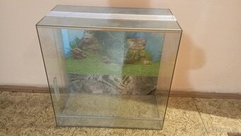 Terarium - 2
