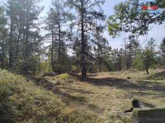 Prodej tufitového lomu, 13529 m², Razová - 2