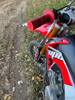 Pitbike WPB 155 race - 2