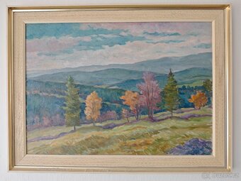 Obrazy - Šumava, Strážov a jiné - 2