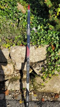 Kästle RX10 Classic Junior skin 162cm - 2