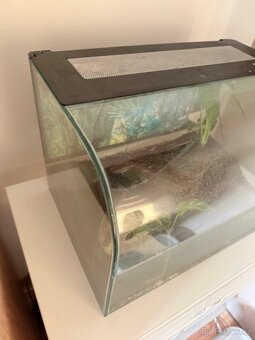 Exo Terra terárium - 2