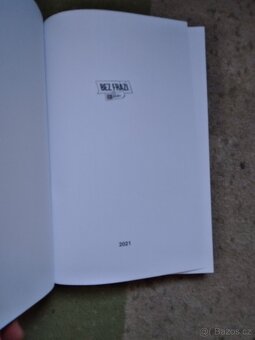 Bez frází a bez jůtubu, Landsman - 2