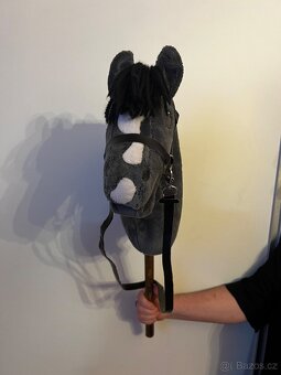 Hobby horse - 2