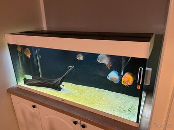 Prodám komplet Juwel 240 - 2