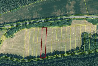 Prodej - pole a TTP, k. ú. Rybnice u Kaznějova a Plasy - 2