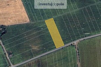 Prodej pole v k.ú. Milotice u Kyjova - 2