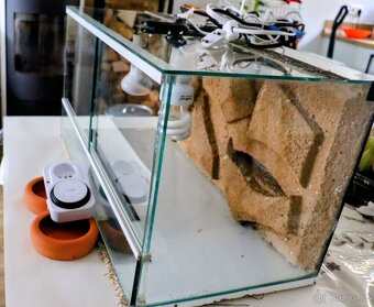 Terárium VYBAVENÉ pro malé agamy / gekončíky noční - 2