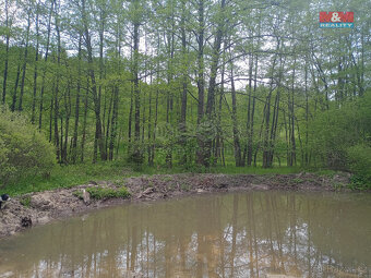 Prodej louky, 6962 m², Kořenov - 2