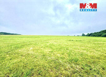 Prodej louky, 13470 m², Buková - 2