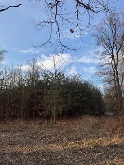 Prodám pozemky v k.ú. Stéblová - 2