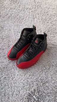 Air Jordan 12 Retro Flue Game 2025 - 2