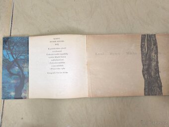Litografie Karel Hynek Mácha - 2