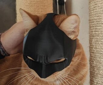 Batman maska pre mačku - 2