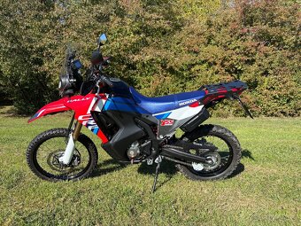 Honda crf 300 rally - 2