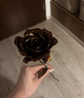 Měděné / kovové růže - 2