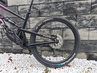 Kellys swag 30 M 2025 - 2