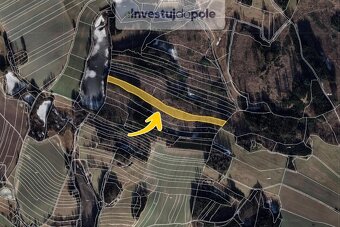 Prodej lesu v k.ú. Ctiboř u Častrova - 2