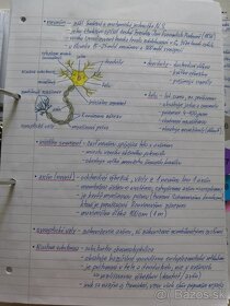 Biologie SŠ výpisky - 2