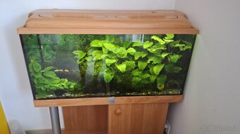 Akvárium 200l (100cm×40cm×50cm) - 2