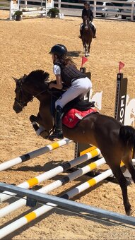 Pony učitelka - 2