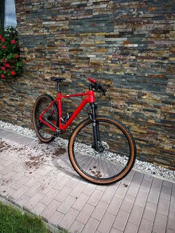 Merida BIG-NINE LIMITED - 2