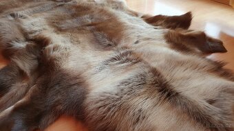 Nepoužívaná sobí kožešina z Norska - 2