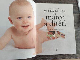 Kniha o mateřství - 2