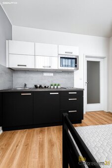 Pronájem bytu 1+kk 18m²,OV, Zbuzany, ev.č. 00429 - 2