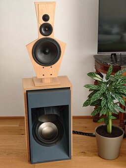 aktivni repro LINKWITZ LX521, MiniDSP 4x10, NUPRIME MCX-4 - 2