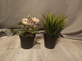 Umělý květiny ( sada) - 2