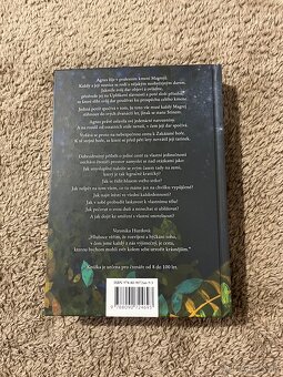 Agnes a zakázaná hora - nová - 2