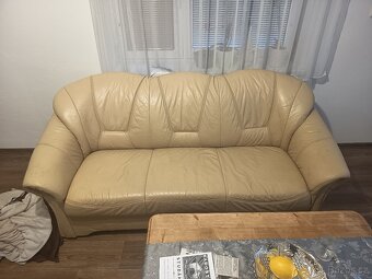 Kožená sedacka - 2